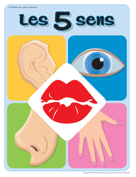 Affiche th&eacute;matique - Les 5 sens
