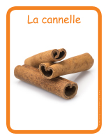 Éduc-affiche-La cannelle Éduc-affiche-La cannelle