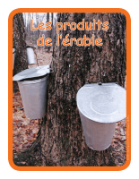 Éduc-affiche-Les produits de l'érable Éduc-affiche-Les produits de l'érable
