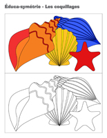 &Eacute;duca-sym&eacute;trie-Les coquillages