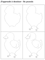 J'apprends à dessiner un poussin J'apprends à dessiner un poussin
