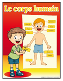 Corps humain