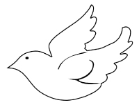 Mod&egrave;les oiseaux