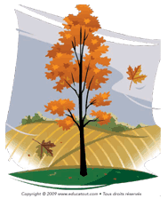 Images d'automne - Educatout