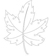 Ouvrir-feuilles à lacer