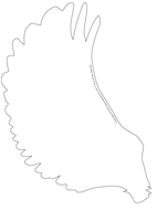 Ouvrir ailes de dragon