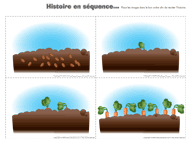 Ouvrir histoire en s&eacute;quence &ndash; Les l&eacute;gumes