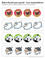 Ouvrir &eacute;duc-pareil pas pareil-Les mammif&egrave;res