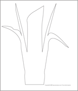 Ouvrir-mod&egrave;les d&rsquo;arbres