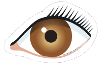 mod&egrave;les-Le corps humain