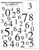 Ouvrir fiches d&rsquo;observation-Chiffre 3