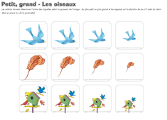 Ouvrir-&eacute;duc petit, grand - les oiseaux