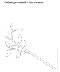 Ouvrir Coloriage cr&eacute;atif &ndash; les oiseaux