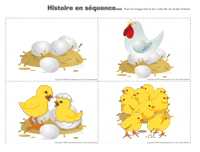 Histoire s&eacute;quentielle