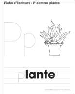 Ouvrir fiche d&rsquo;&eacute;criture- P comme plante