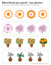 Ouvrir &eacute;duc-pareil pas pareil-les plantes