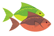 Poisson d'avril en couleur