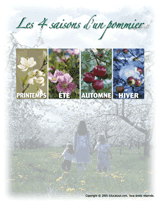 Ouvrir- dossier pomme