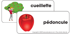 Ouvrir &eacute;tiquettes-mots &ndash; Les pommes