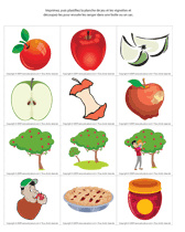 Ouvrir jeu de la loupe –Les pommes