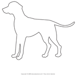 Ouvrir- mod&egrave;le - dalmatien