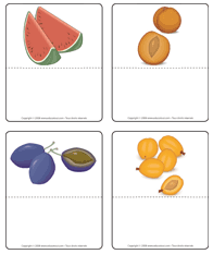 Fruits, noyaux ou graines