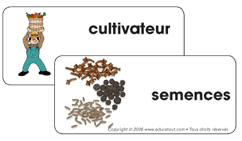 Activit&eacute;s langagi&egrave;res - &Eacute;tiquettes mots