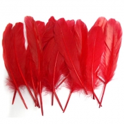 Red goose feathers