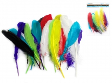 Colored goose feathers