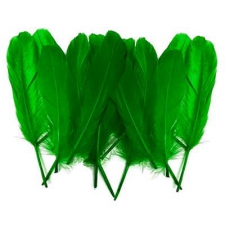 Green goose feathers