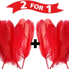 Red goose feathers + 1 FREE