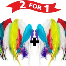 Colored goose feathers + 1 FREE