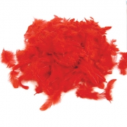 Plumes rouge