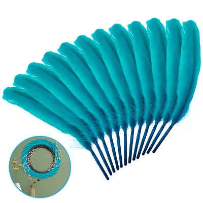 blue goose feathers