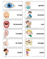 Jeu avec les étiquettes-mots educatout