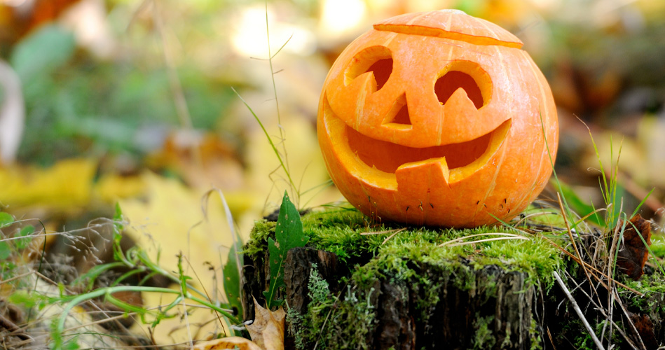 Activités éducation par la nature sur le thème de lhalloween