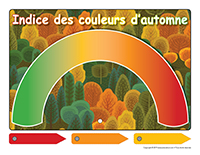 Affiche-indice des couleurs d’automne