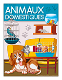 Animaux domestique