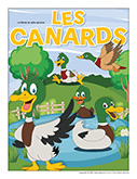 Canards