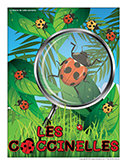 Coccinelles