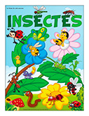 Insectes