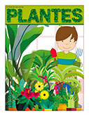 Plante