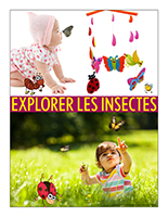 Affiche thématique poupons-Explorer les insectes