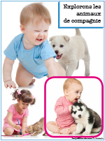 Affiche thématique poupons-Explorons les animaux de compagnie