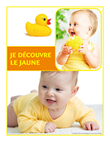 Affiche thématique poupons-Je découvre le jaune