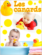 Affiche thématique poupons-Les canard Affiche thématique poupons-Les canard