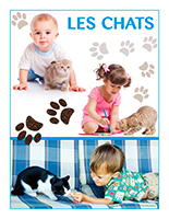 Affiche thématique poupons-Les chats