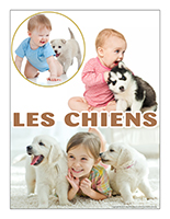 Affiche thematique-poupons-Les chiens Affiche thematique-poupons-Les chiens