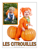 Affiche thématique poupons-Les citrouilles