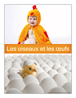 Affiche thematique poupons-Les oiseaux et les oeufs